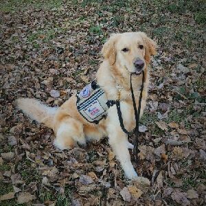 Murphy-square | Dystonia Medical Research Foundation