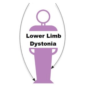 Lower Limb Dystonia Brochure