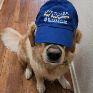 Pet Palooza Baseball Cap