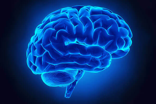Image of a brain.