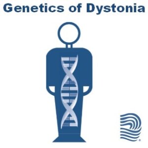 Genetics of Dystonia Fact Sheet